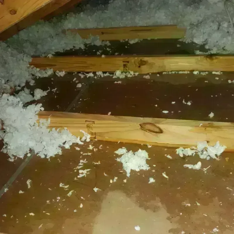 Attic Water Damage in Caseyville, IL