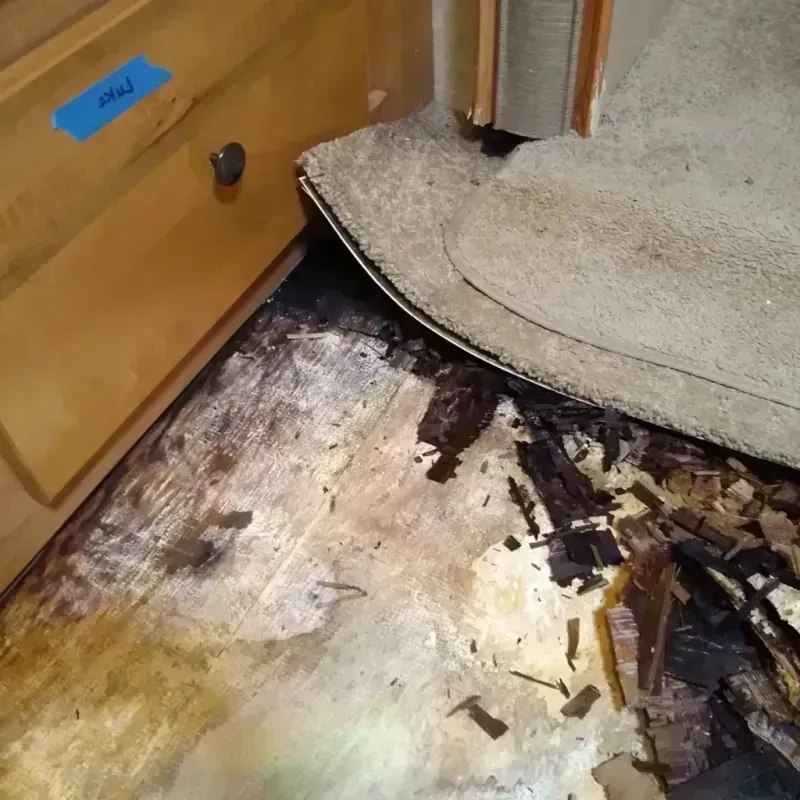 Best Wood Floor Water Damage Service in Caseyville, IL